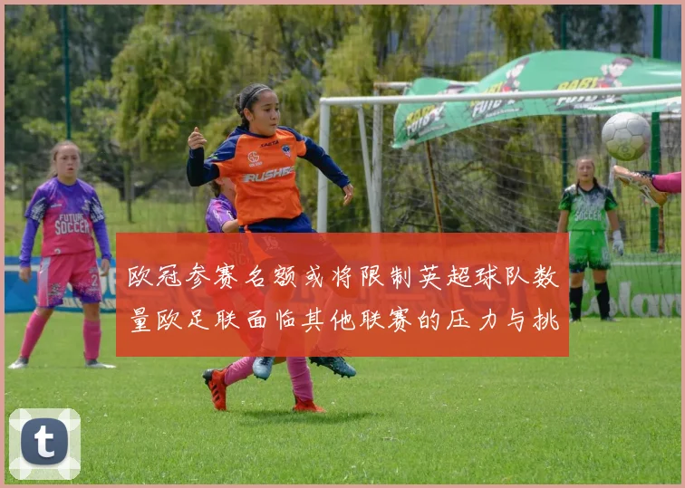 欧冠参赛名额或将限制英超球队数量欧足联面临其他联赛的压力与挑战