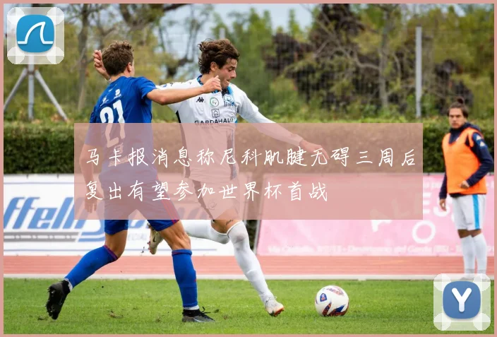 马卡报消息称尼科肌腱无碍三周后复出有望参加世界杯首战